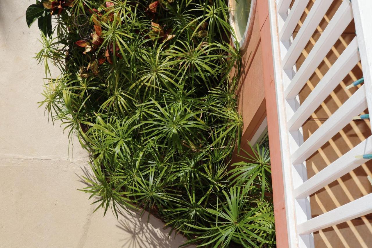 Maui Garden Oasis Villa Lahaina Bagian luar foto